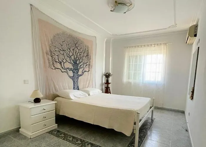 Alma Rustica Albufeira